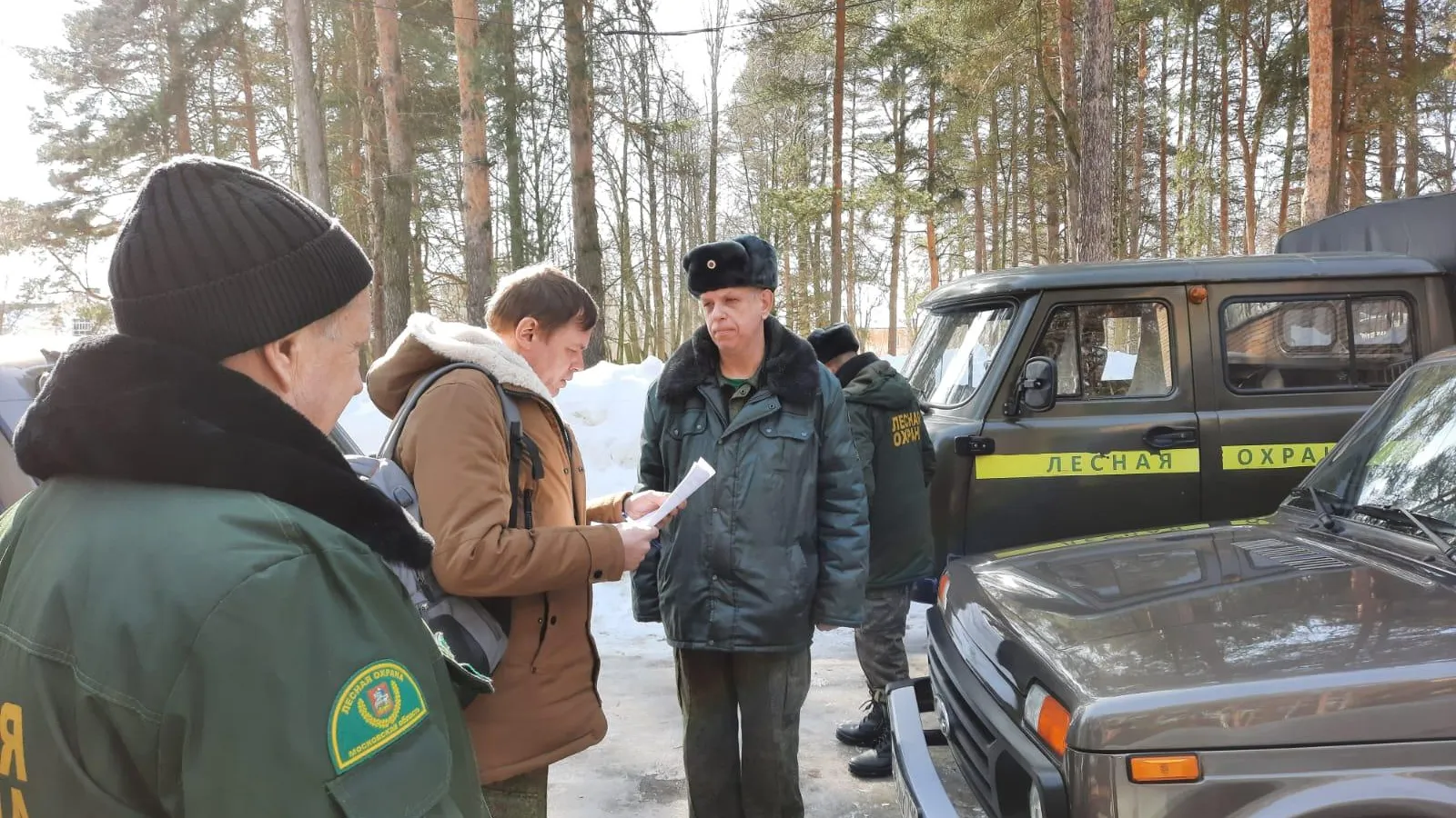 Фото: пресс-служба Комитета лесного хозяйства Московской области