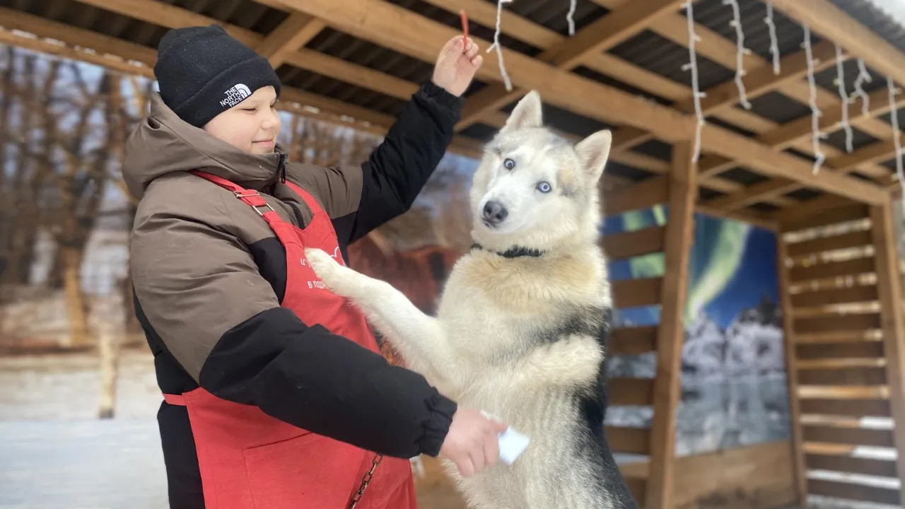 МедиаБанк Подмосковья/Анастасия Сараева