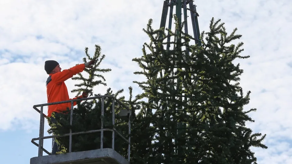 Фото: ТАСС/Дмитрий Феоктистов