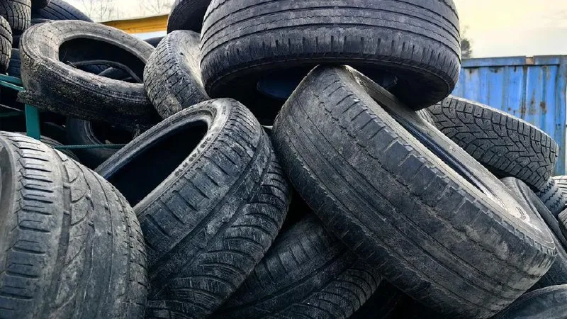 Фото: МедиаБанк Подмосковья/Елена Катасонова