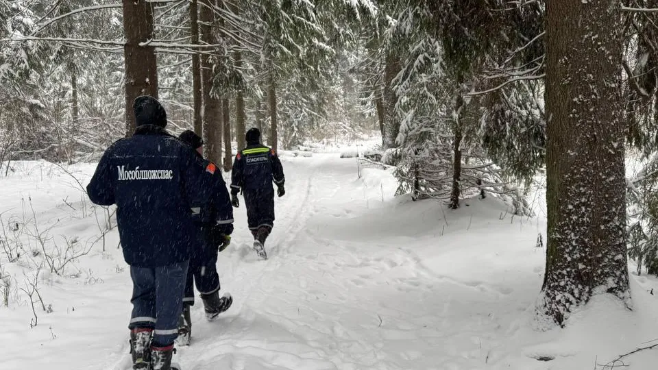 Фото: ГКУ МО «Мособлпожспас»