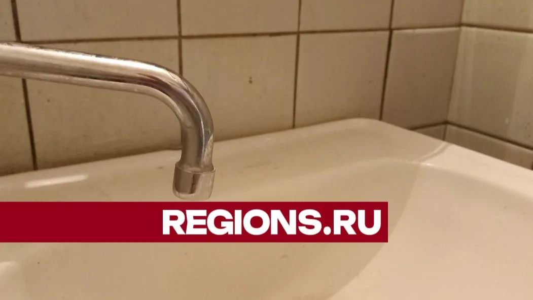 Фото: Олег Книжник