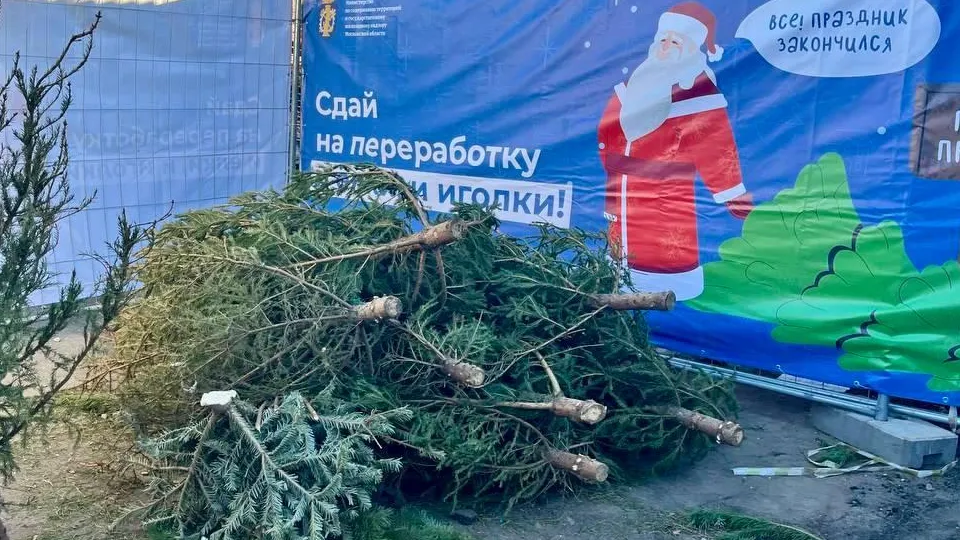 Фото: пресс-служба администрации г.о. Коломна