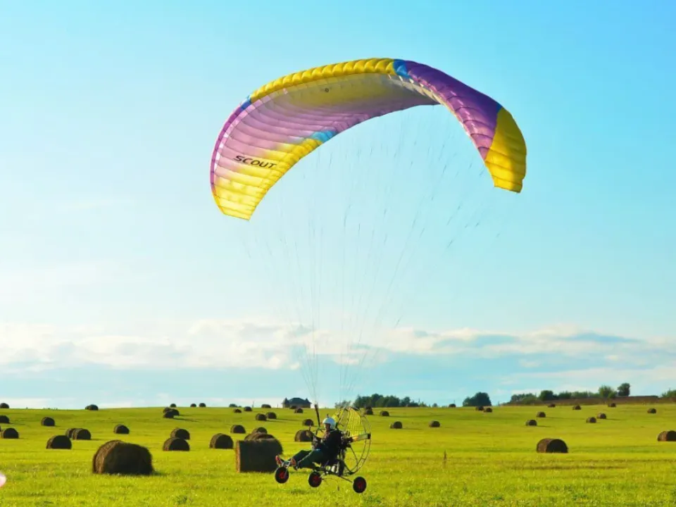 Фото: городская доска объявлений