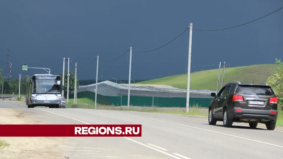 Фото: REGIONS/Василий Тремасов