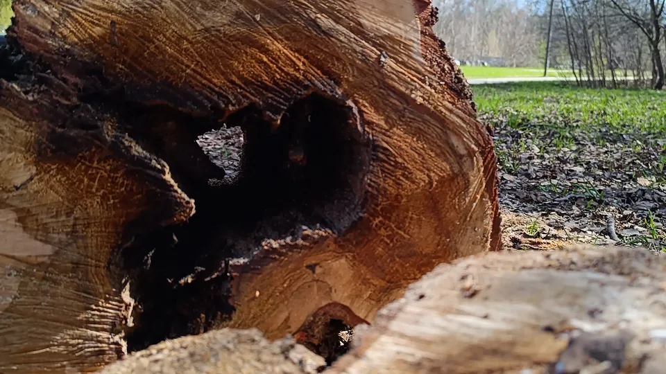 Фото: МедиаБанк Подмосковья/Екатерина Дятловская