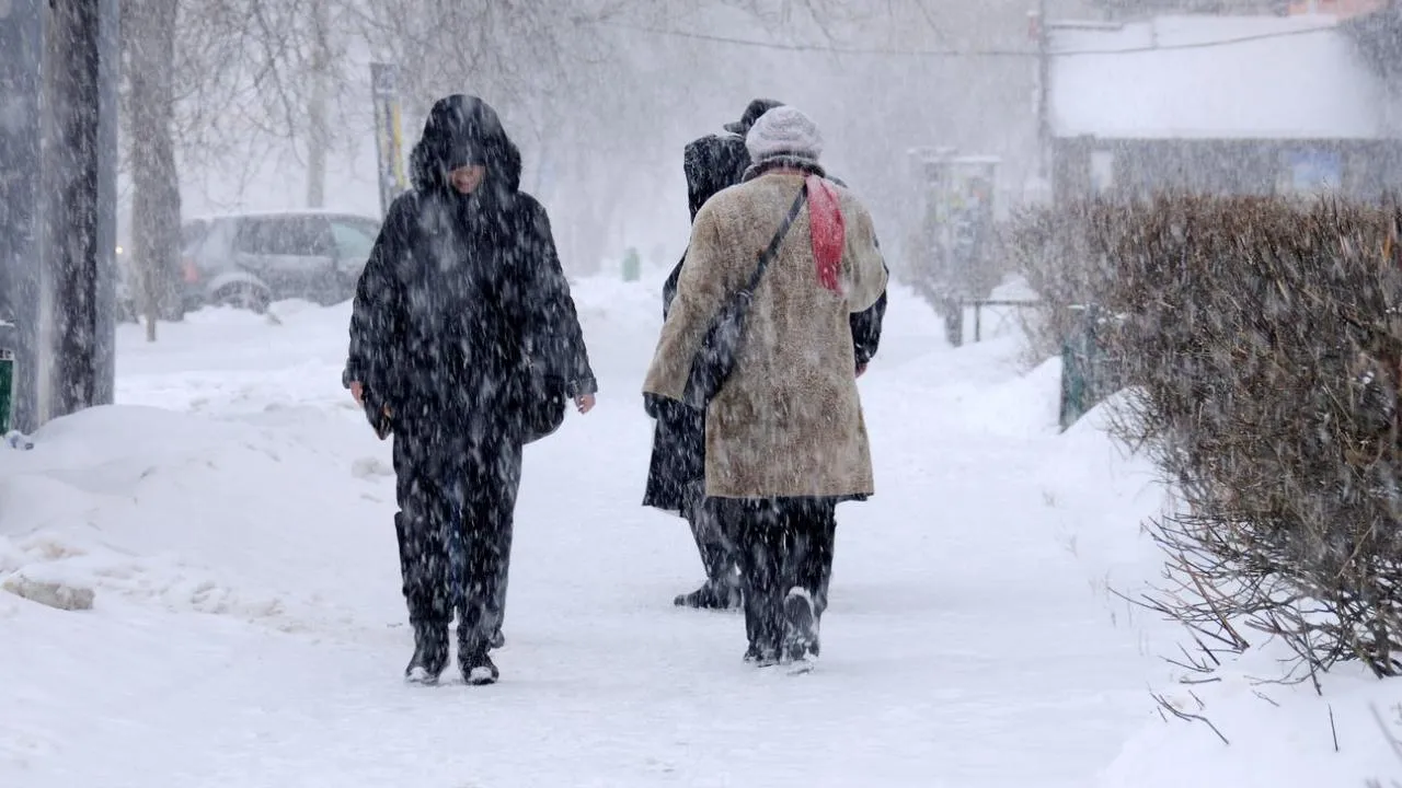 медиасток.рф