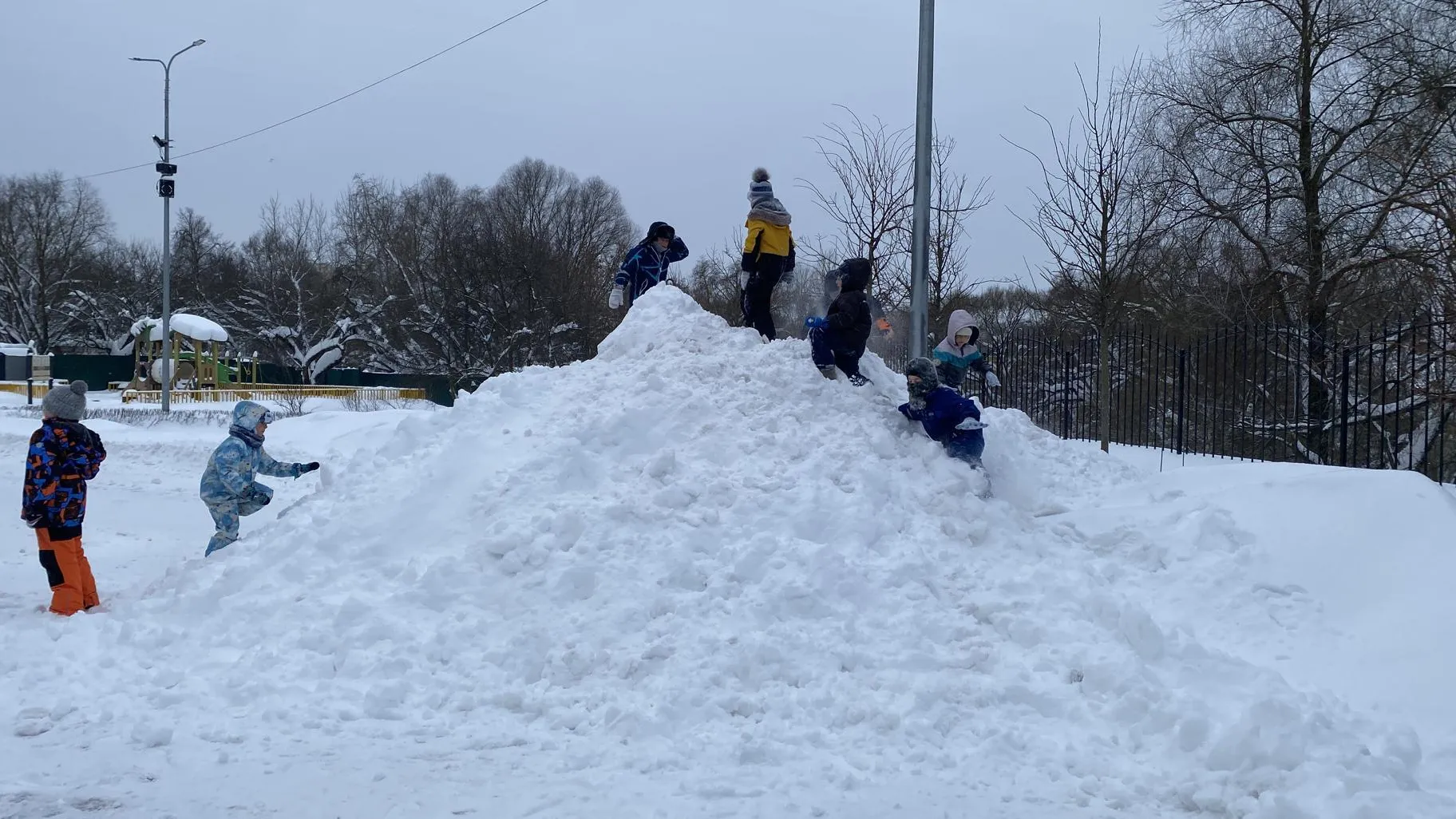 Анна Артюшина