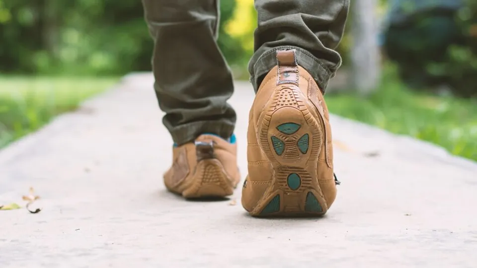 Фото: freepik.com