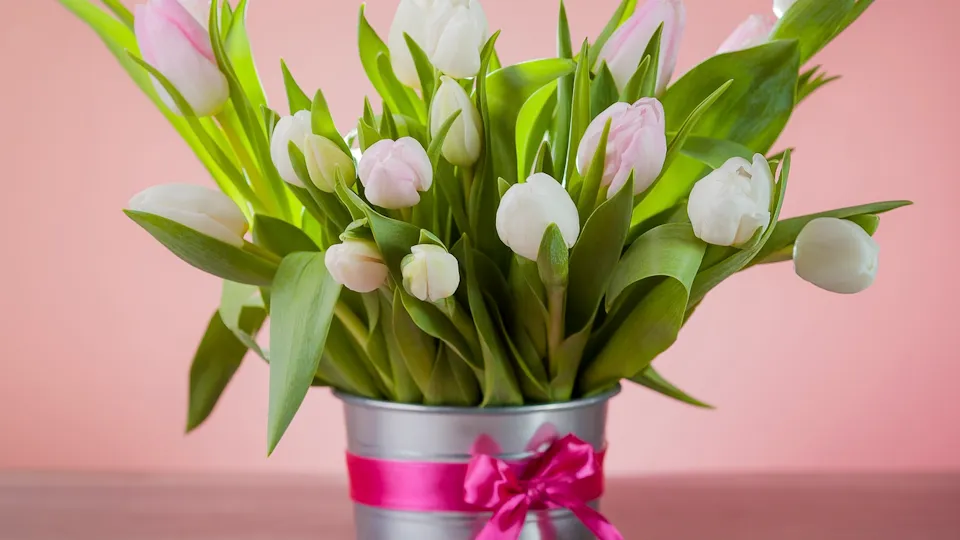 Фото: freepik.com