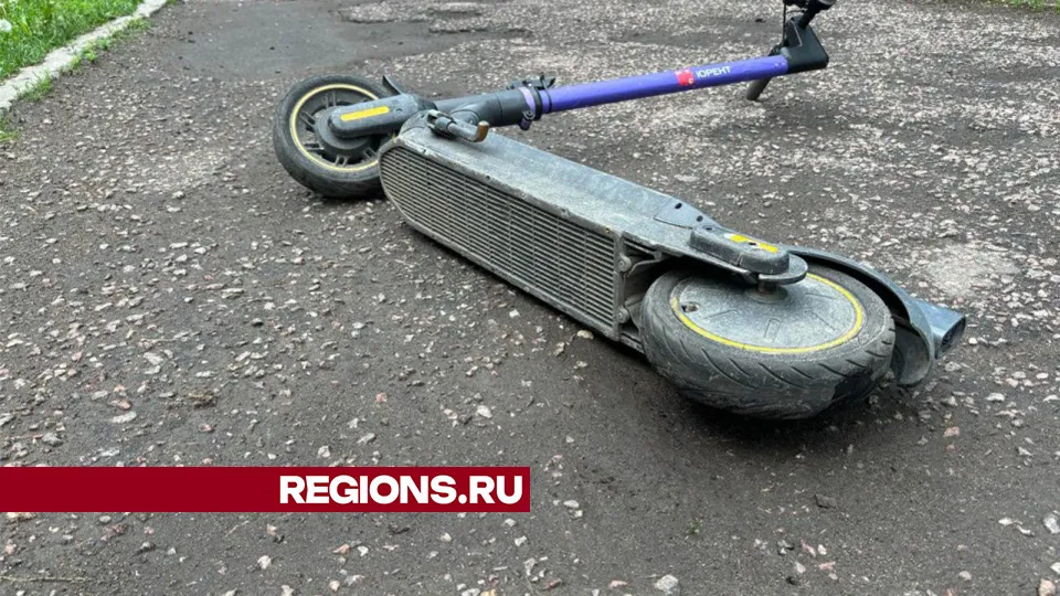 Фото: Алена Мельникова