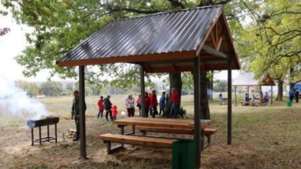 Фото: Комитет лесного хозяйства МО