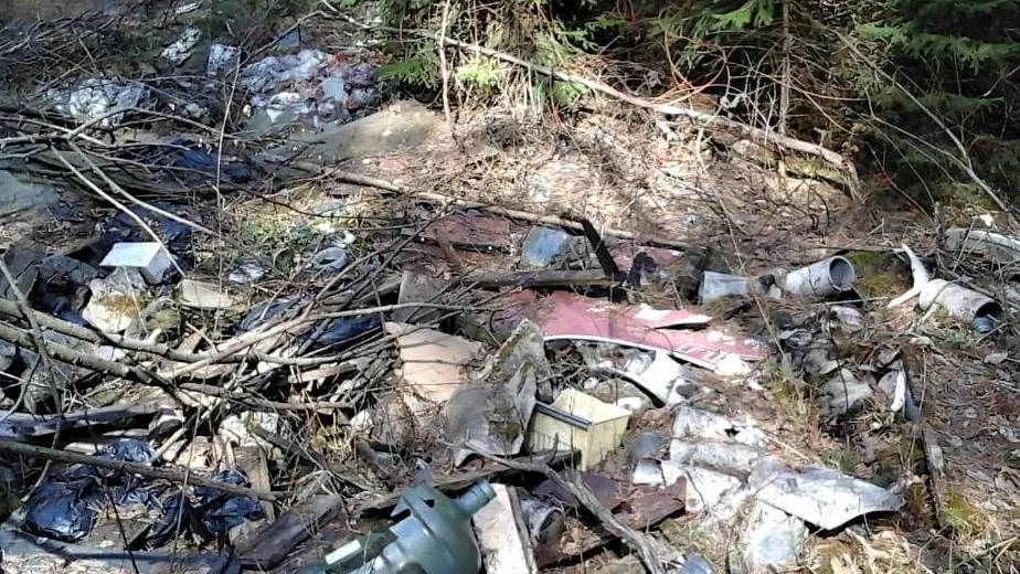 Фото: Комитет лесного хозяйства МО