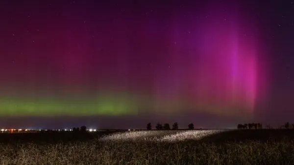 Синоптик Позднякова перечислила причины появления северного сияния в южных регионах РФ