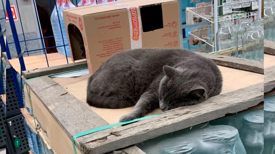 Фото: vk.com/Подслушано Руза