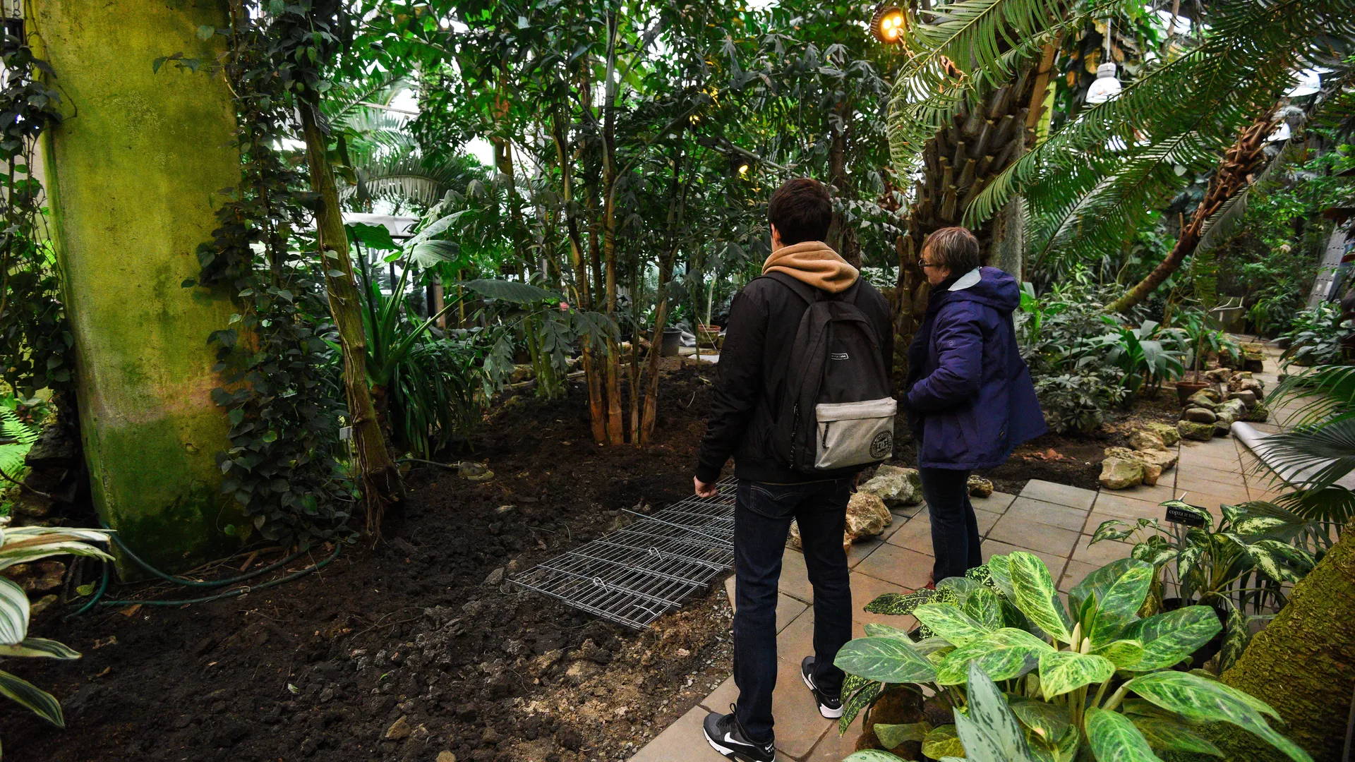 медиасток.рф