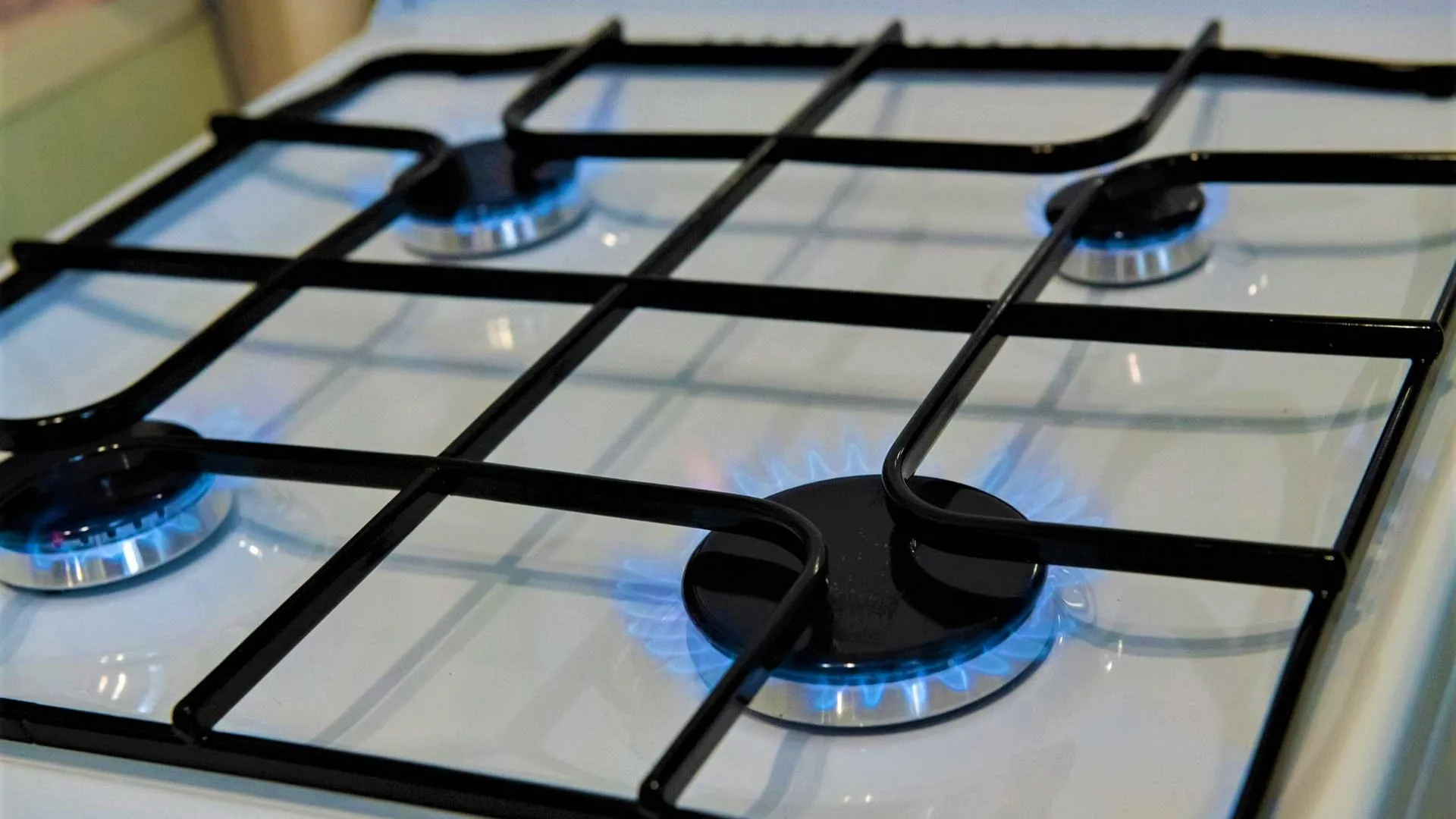 Фото: ИА «Все новости Лыткарино»