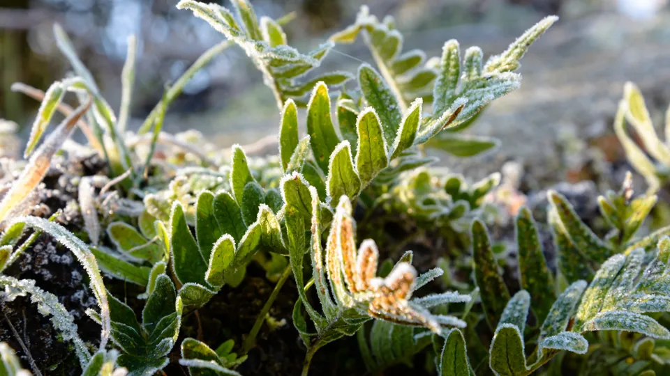 Фото: freepik.com