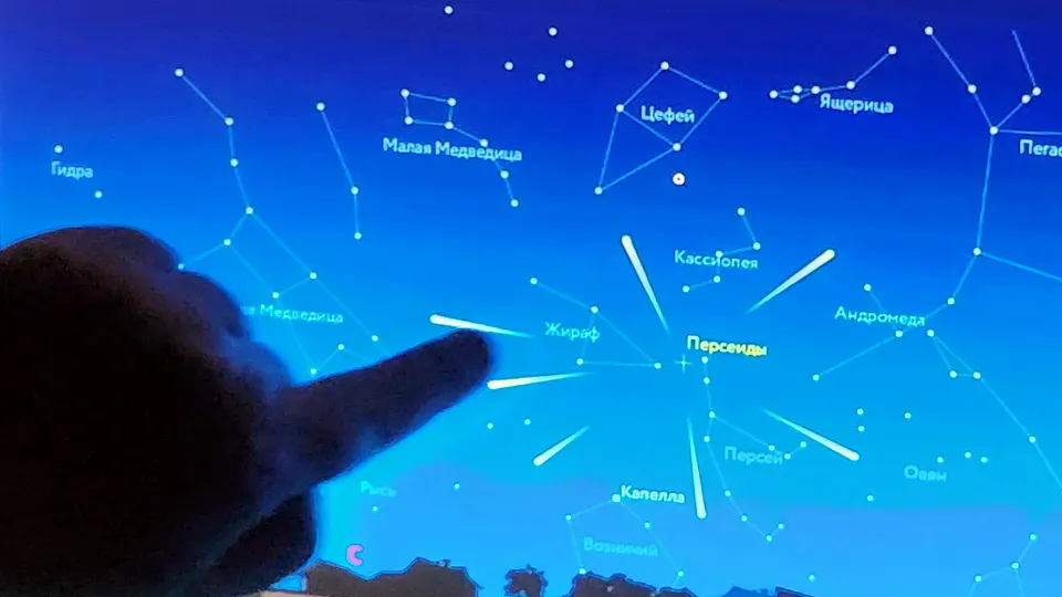 Фото: МедиаБанк Подмосковья/Михаил Раскин