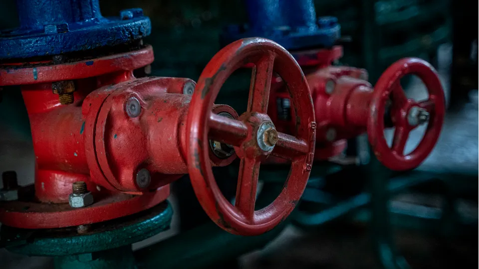 Фото: REGIONS/Наталия Надточая