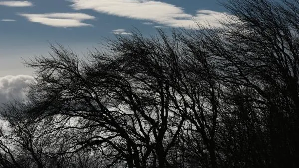 «Желтый» уровень опасности погоды объявили в столичном регионе на 13 ноября из‑за ветра