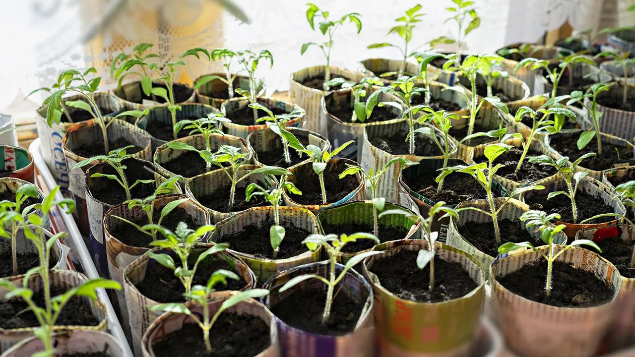 istockphoto.com/Elena Goosen