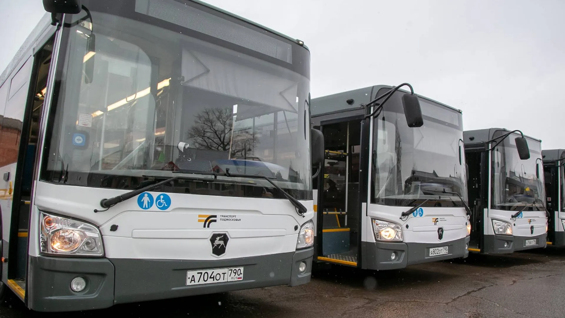 Фото: пресс-служба губернатора и правительства Московской области