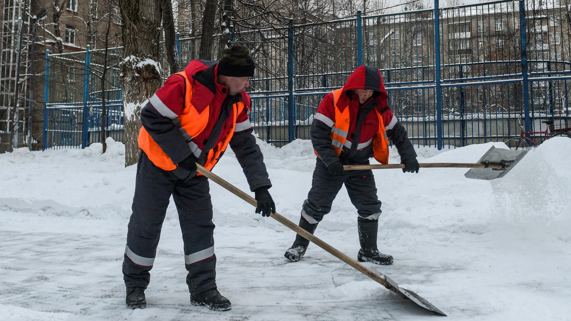 Фото: медиасток.рф