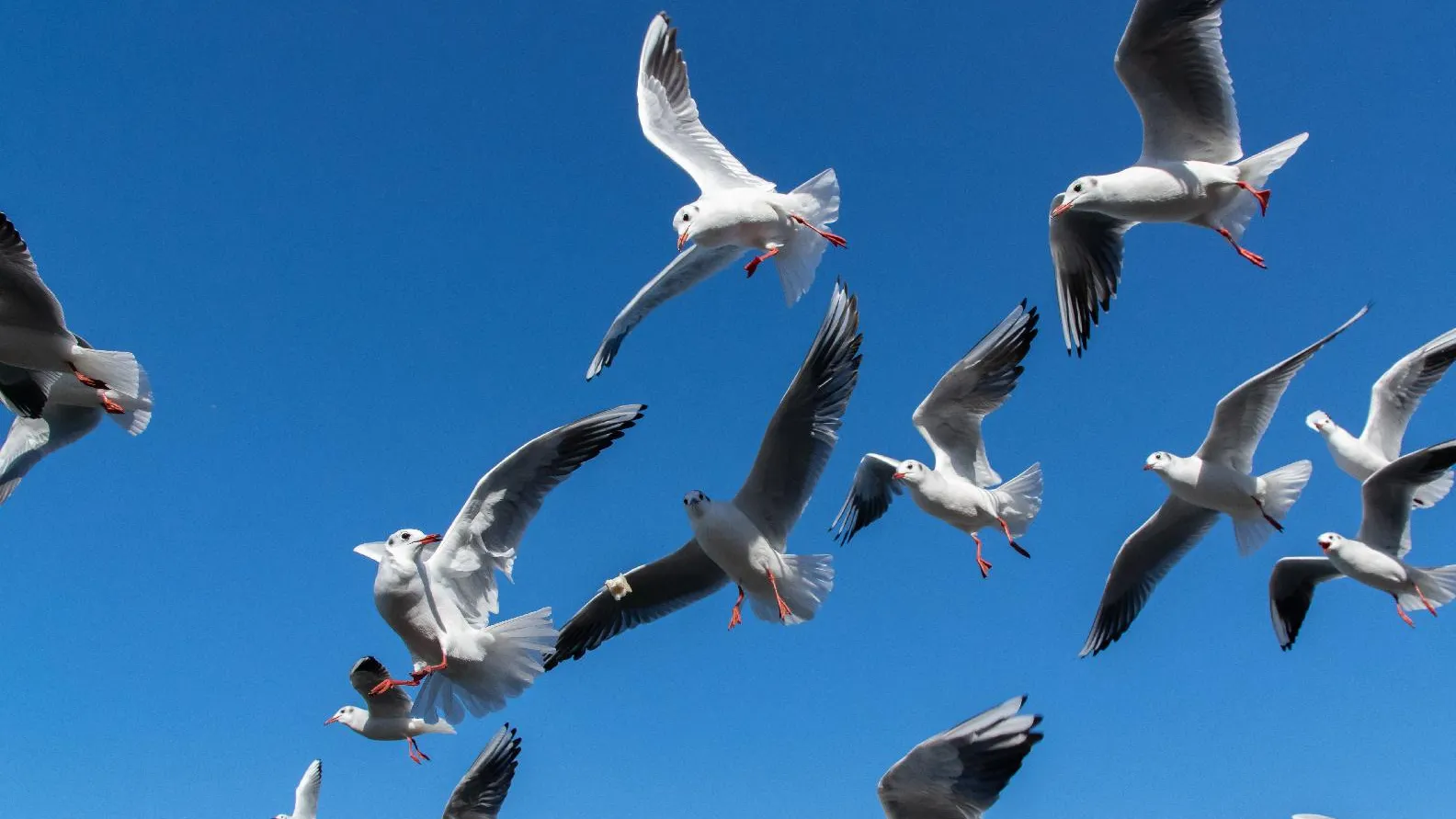 Фото: Istockphoto /rai