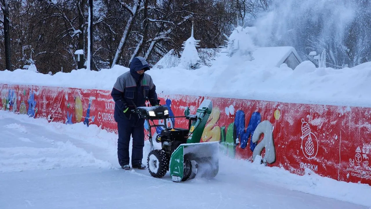 REGIONS/Мария Шигорева