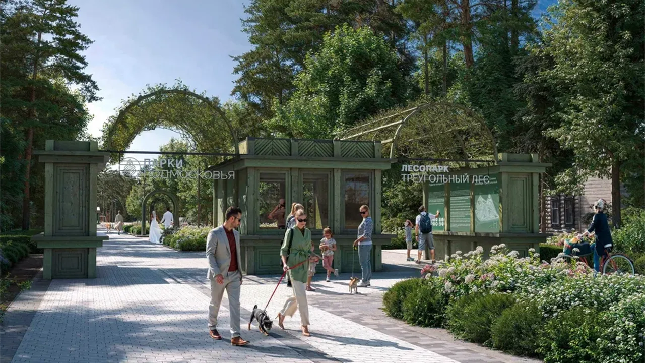 проектное решение