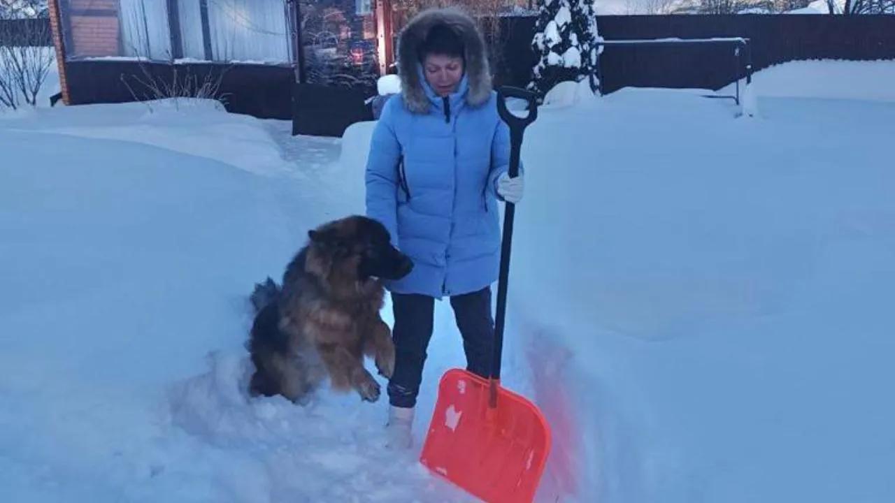 Наталья Козлова, глава Волоколамского округа
