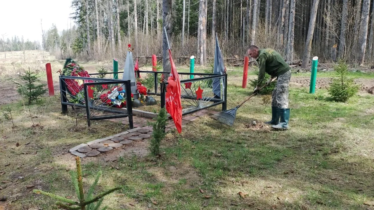 Фото: Комитет лесного хозяйства Московской области