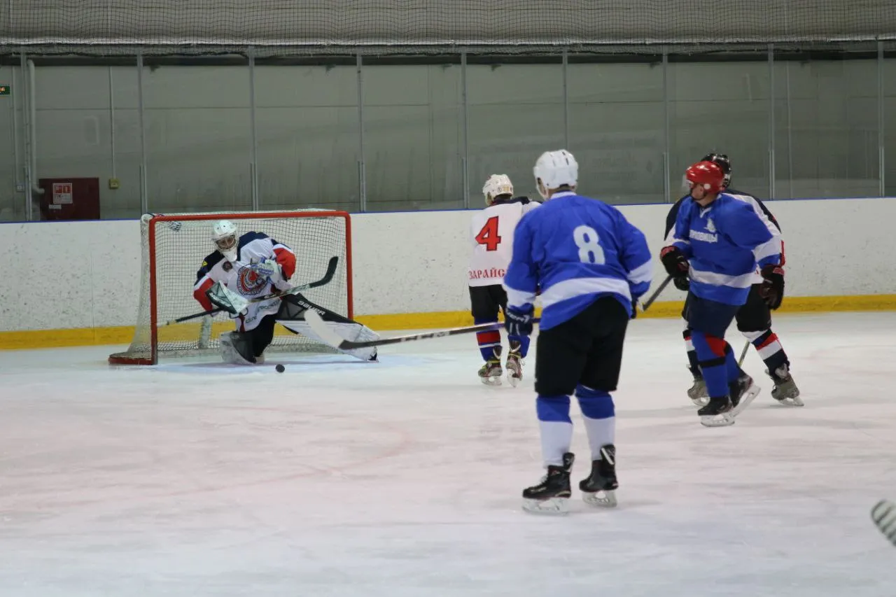 Фото: пресс-служба администрации г.о. Зарайск