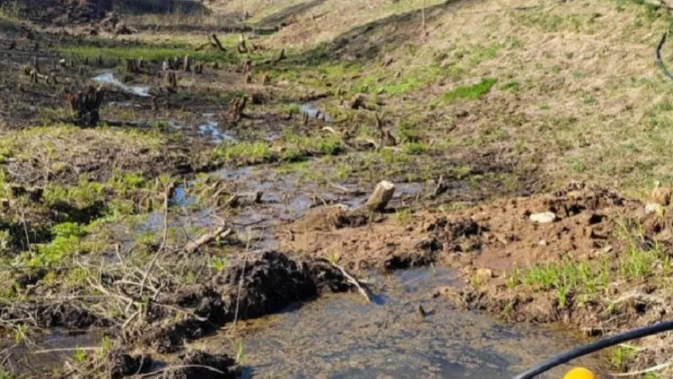 Фото: Министерство экологии и природопользования Московской области