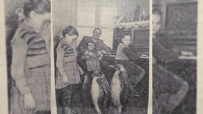 Соседи из Антарктики: о чем писала газета 10 апреля 1957 года