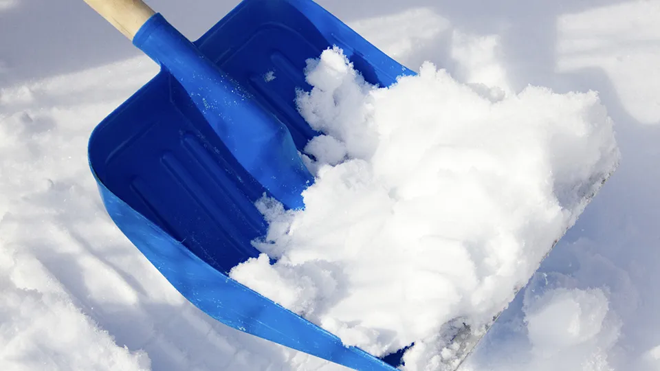 Фото: istockphoto.com/wihteorchid