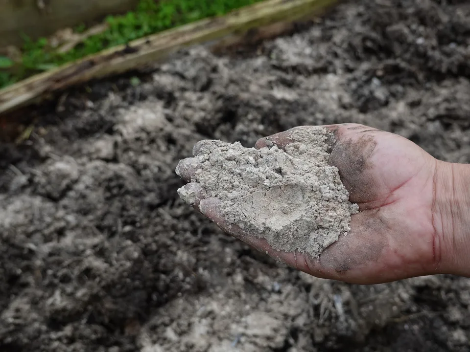 Фото: istockphoto.com/Toni Jardon&nbsp;