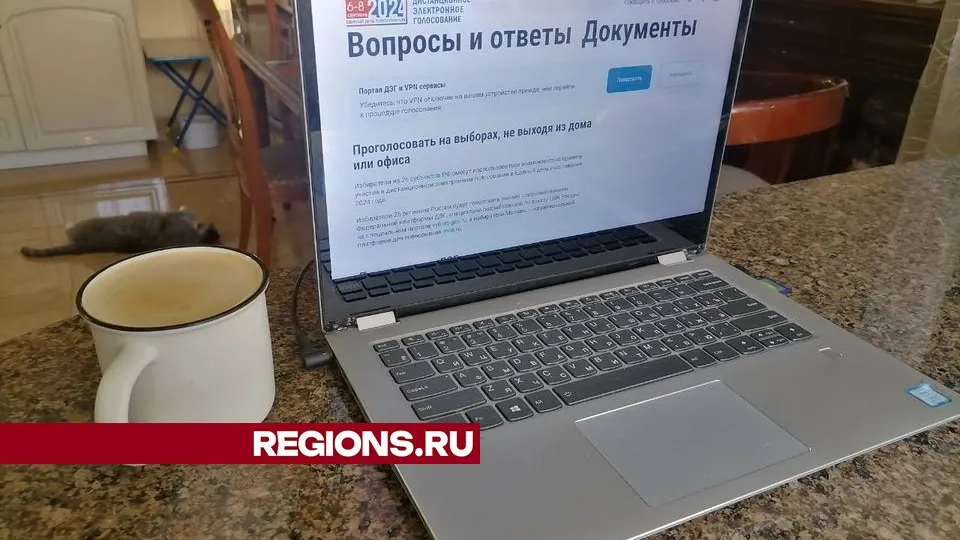 Фото: REGIONS/Александра Никитина