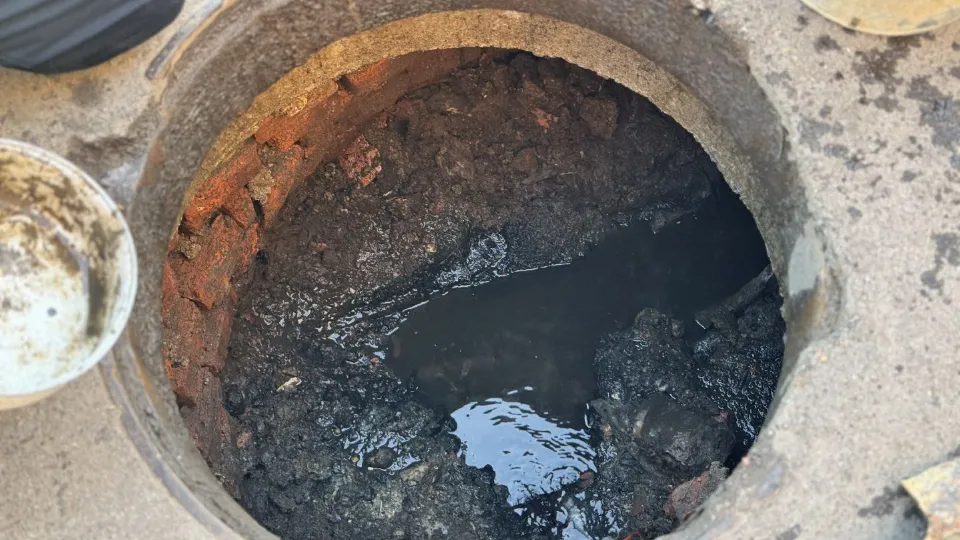 Фото: МедиаБанк Подмосковья/Татьяна Рунова