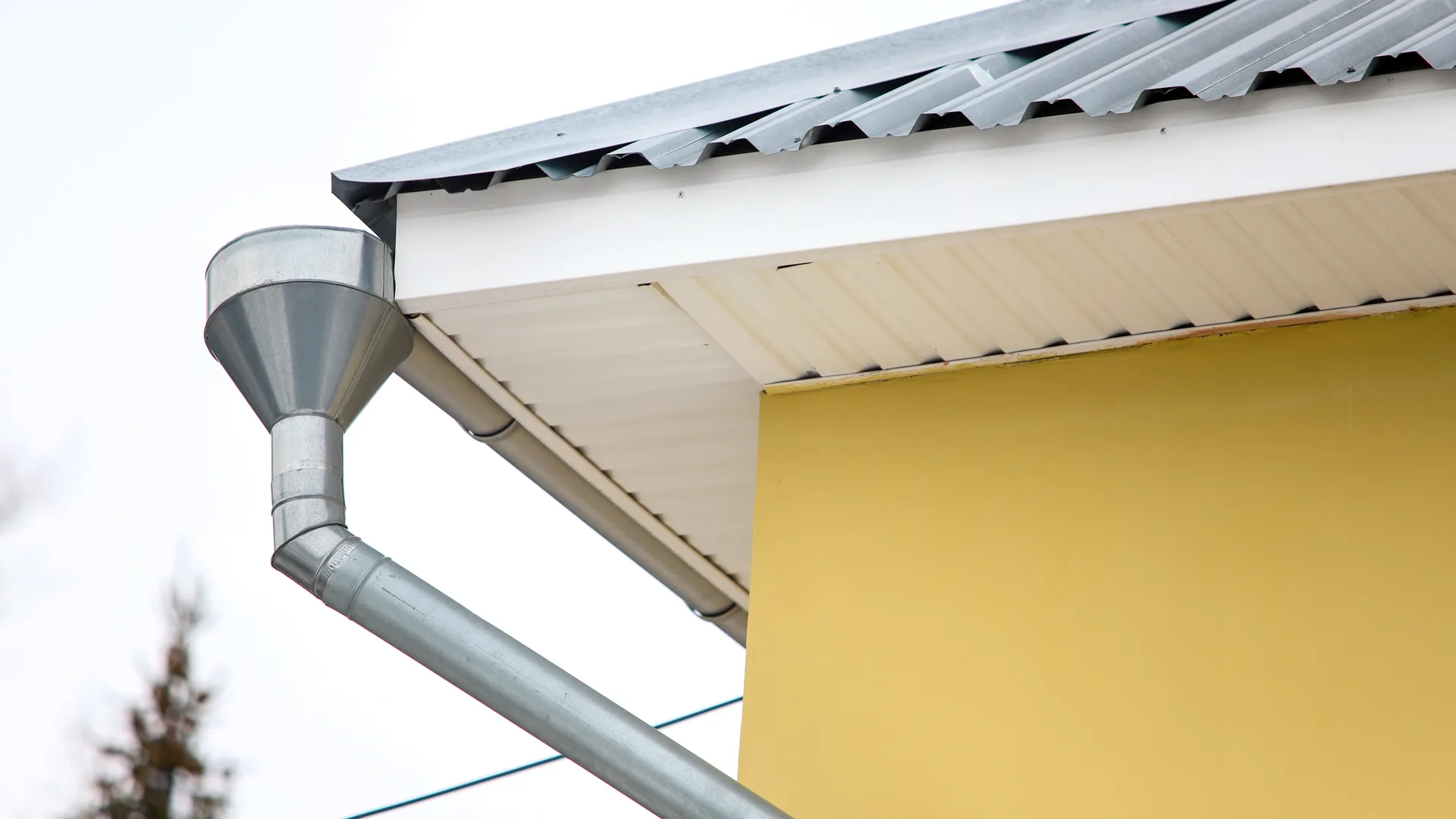 Фото: Владимир Лебедев