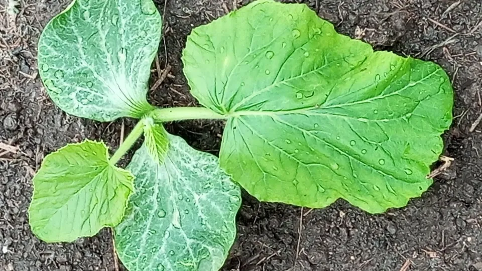 Фото: Андрей Гусев