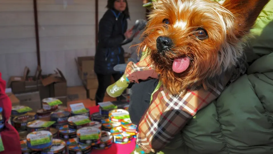 Фото: медиасток.рф