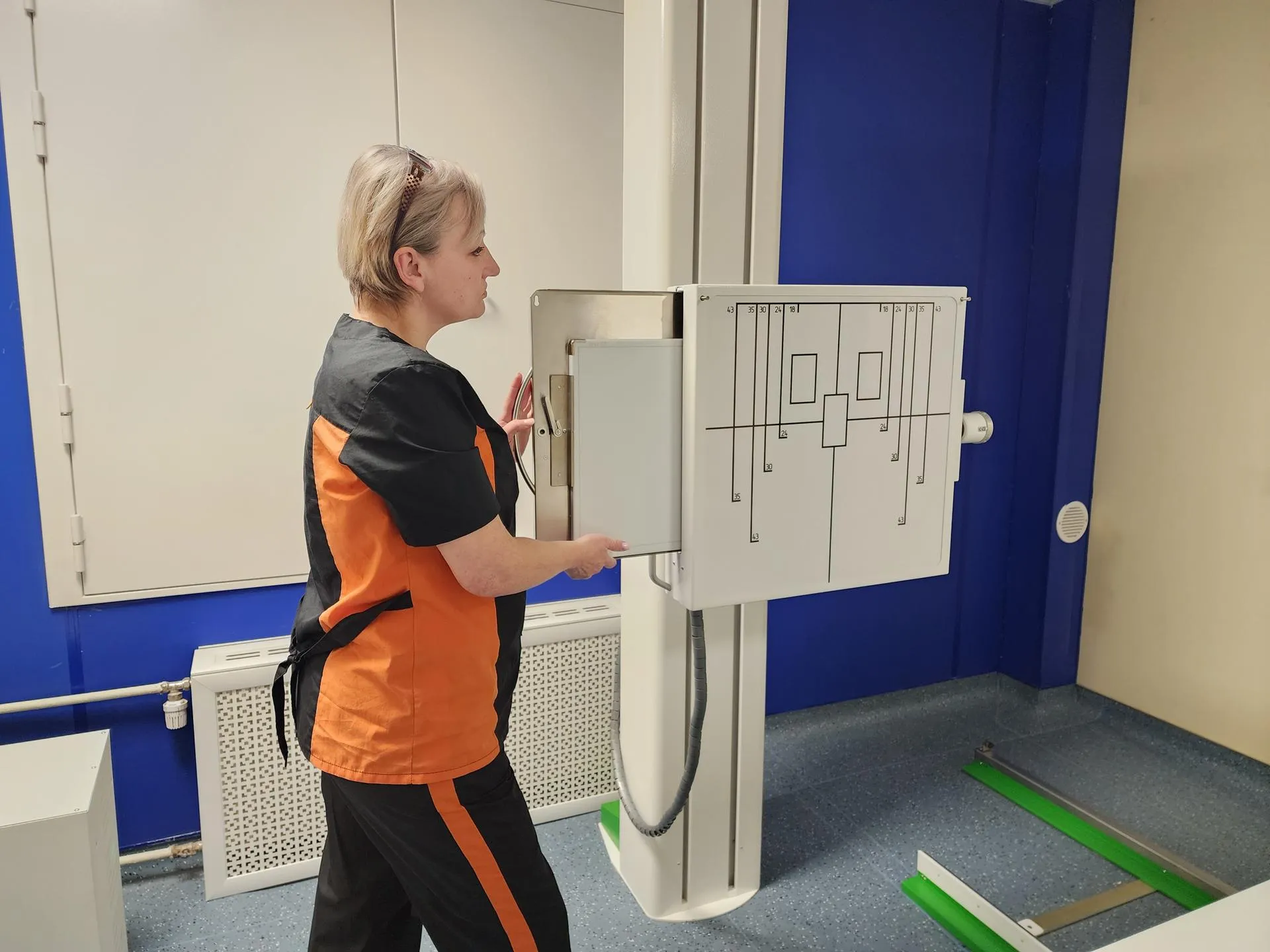 Фото: МедиаБанк Подмосковья/Ирина Моисеева