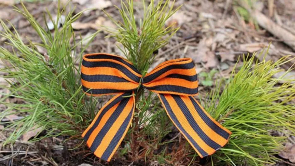 Фото: пресс-служба администрации г.о. Серпухов