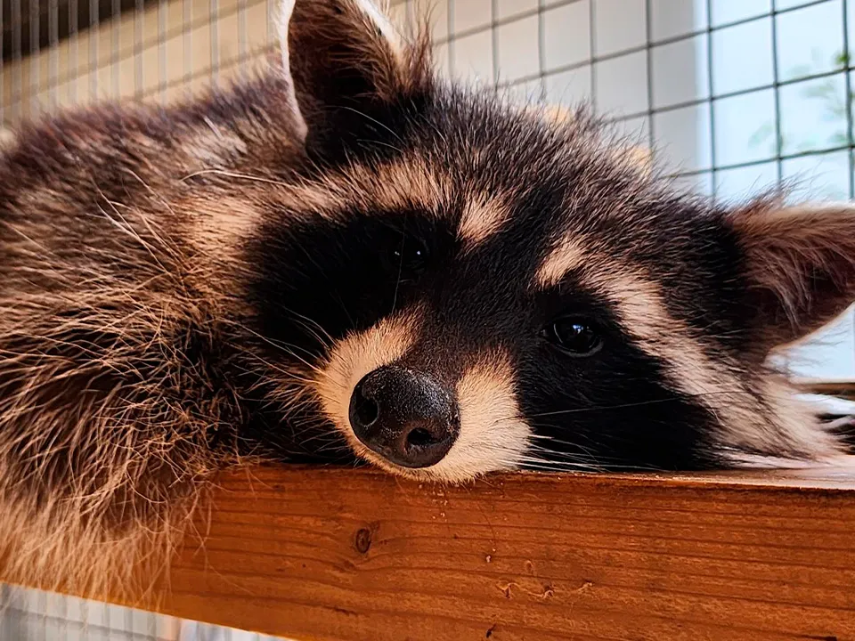 Фото: Валентина Максимова&nbsp;