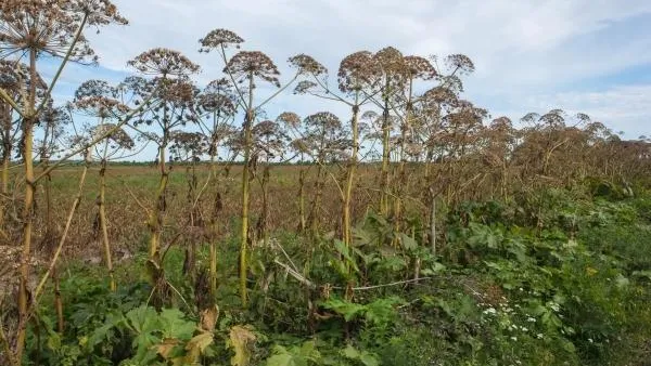 Игорь Подгорный / РИА Новости