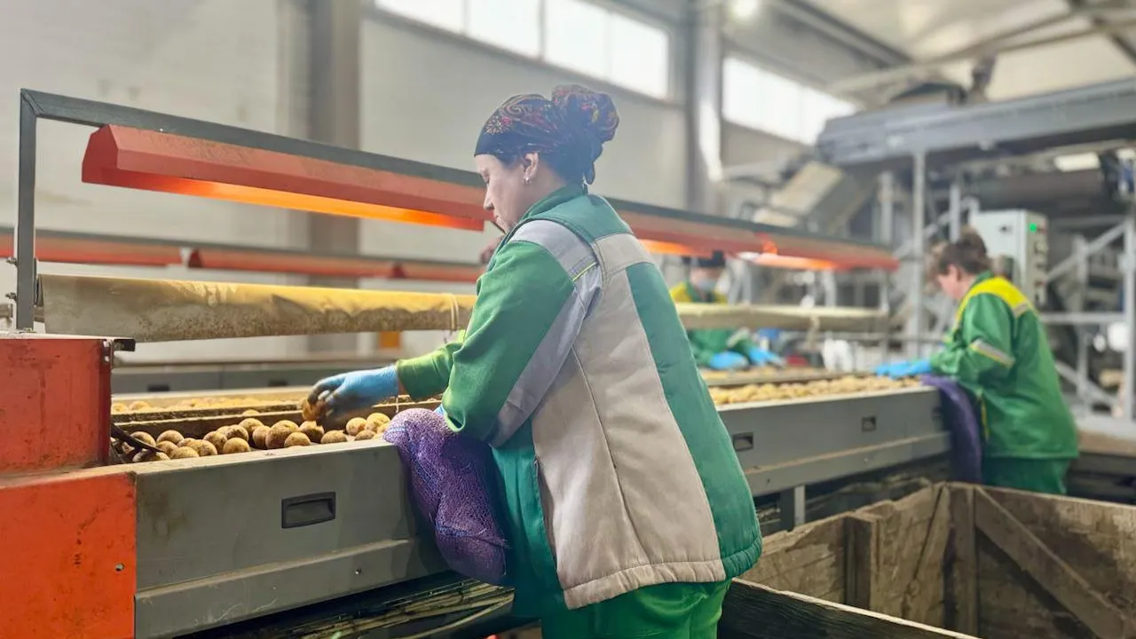 Фото: Минсельхозпрод МО