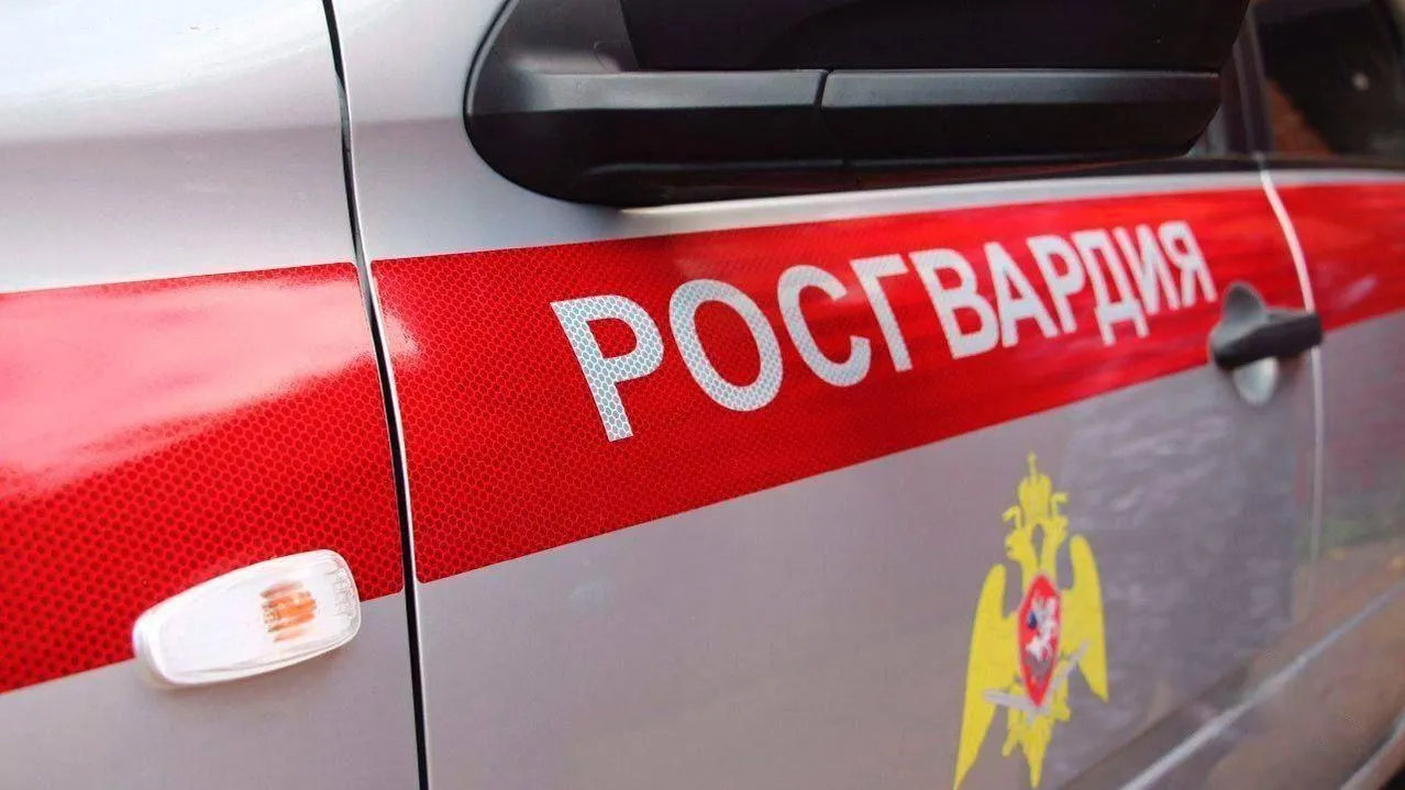 Фото: Пресс-служба Росгвардии по МО