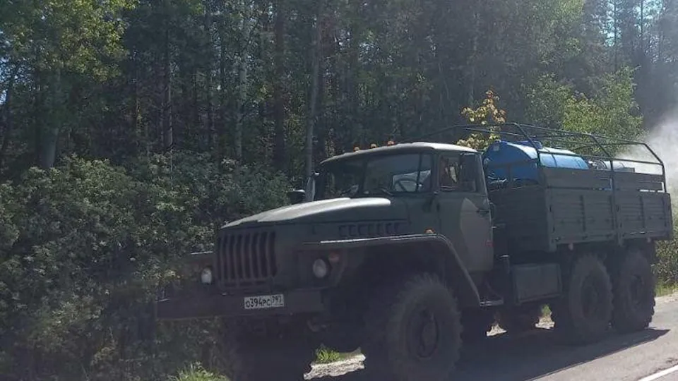 Фото: Комитет лесного хозяйства МО